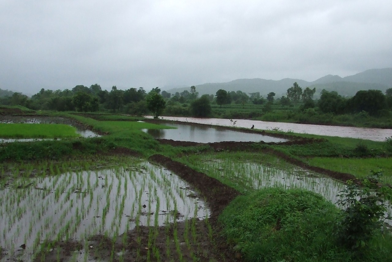 Investigating India's Evolving Monsoon