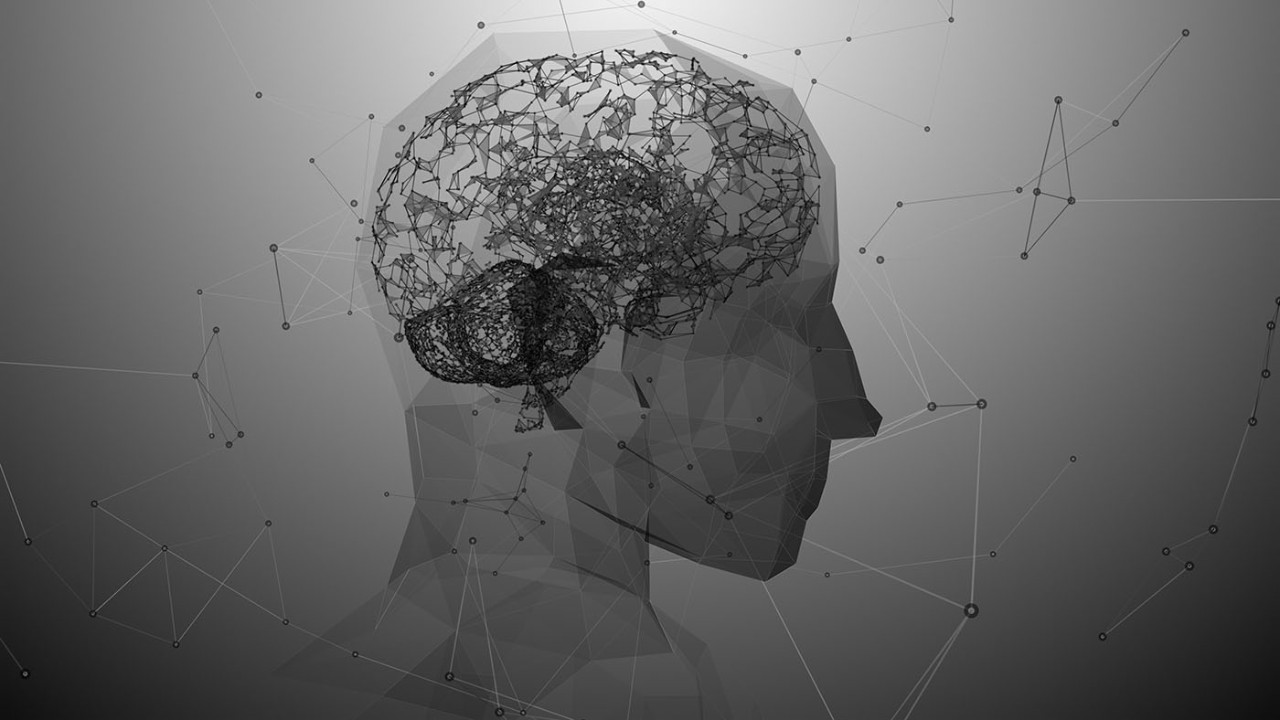 Human brain graphic