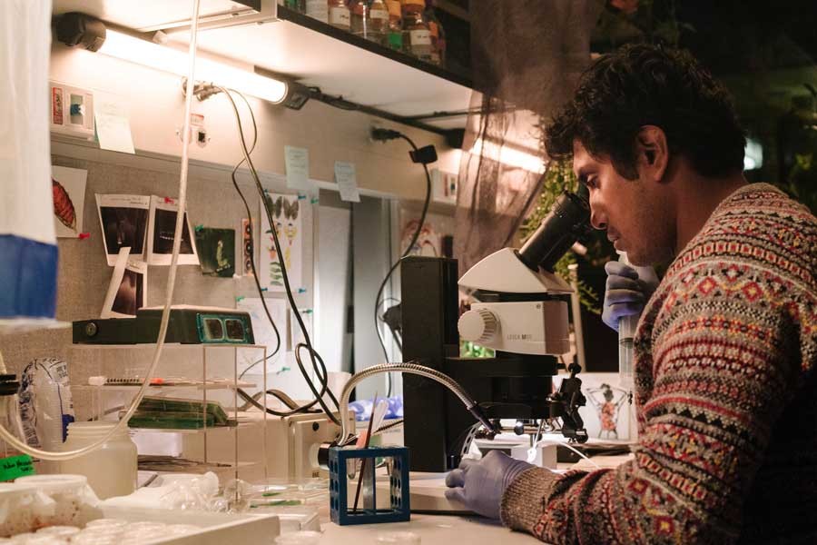 Mendel (Tenoch Huerta) looks through a microscope. Photo credit: Renée Xie