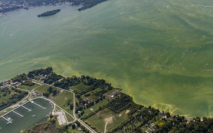  An aerial view of a large harmful algal bloom in Lake Erie, September 2017.