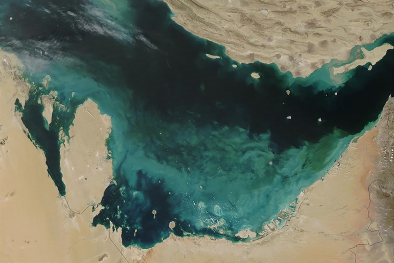 Phytoplankton bloom in the Arabian Gulf, Credit: Jeff Schmaltz, MODIS Rapid Response Team,NASA/GSFC