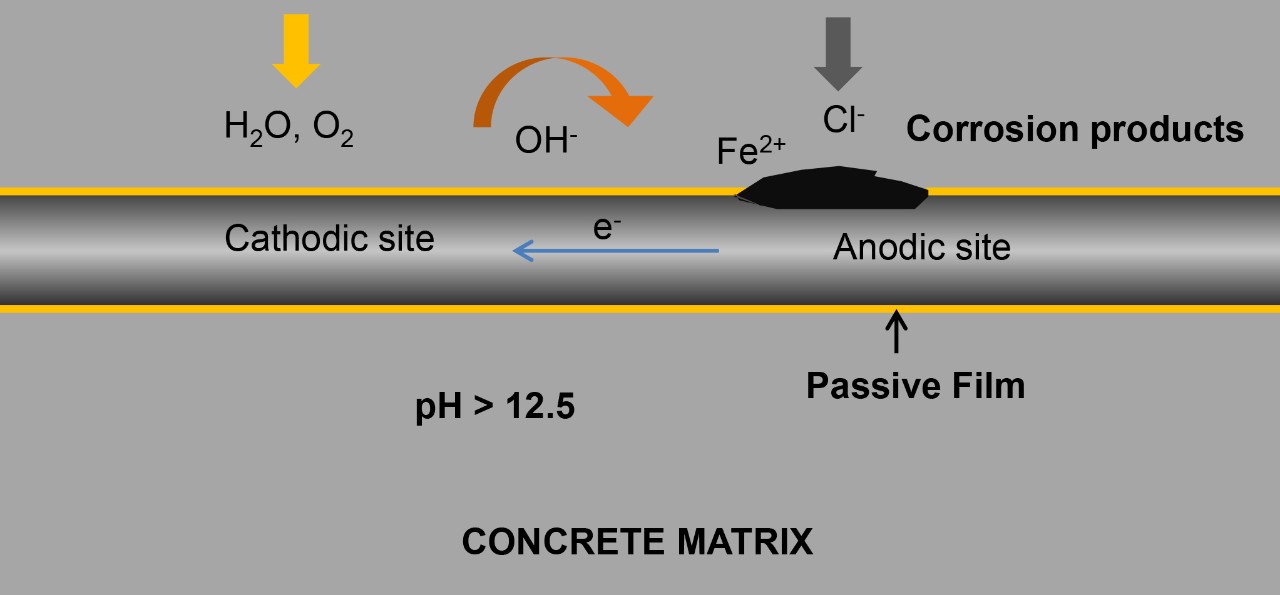    Figure 1. Corrosion process in reinforced concrete structure