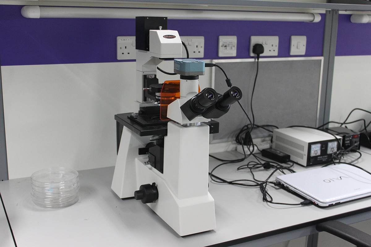 Omano Inverted Fluorescence Microscope