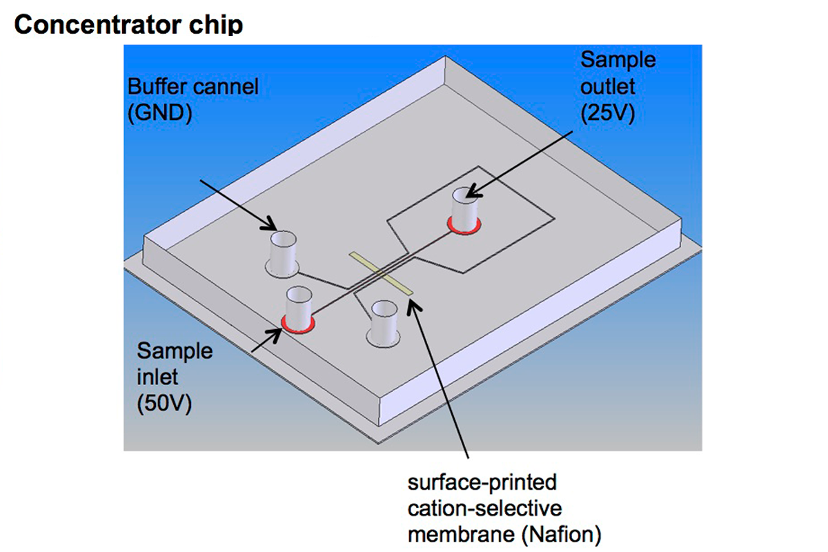 Electrokinetic Concentrator Chip 