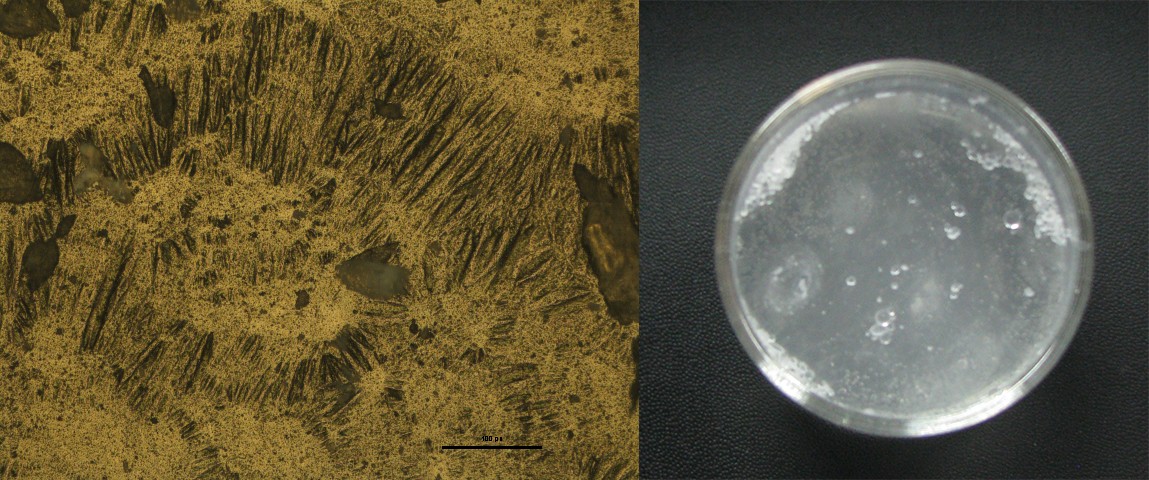 Optical micrograph (left) and free-standing thin film (right) of Teflon AF 1600.