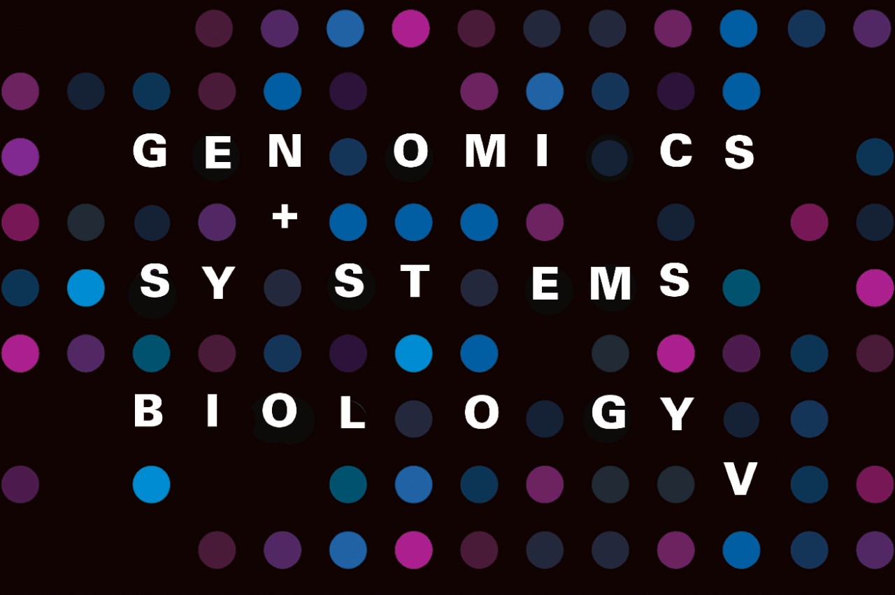 NYUAD Hosts Annual Conference on Genomics and Systems Biology