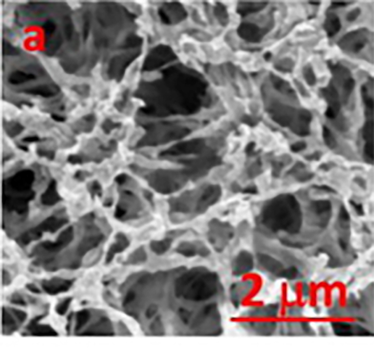 2nm microscope image of porous nanostructured material