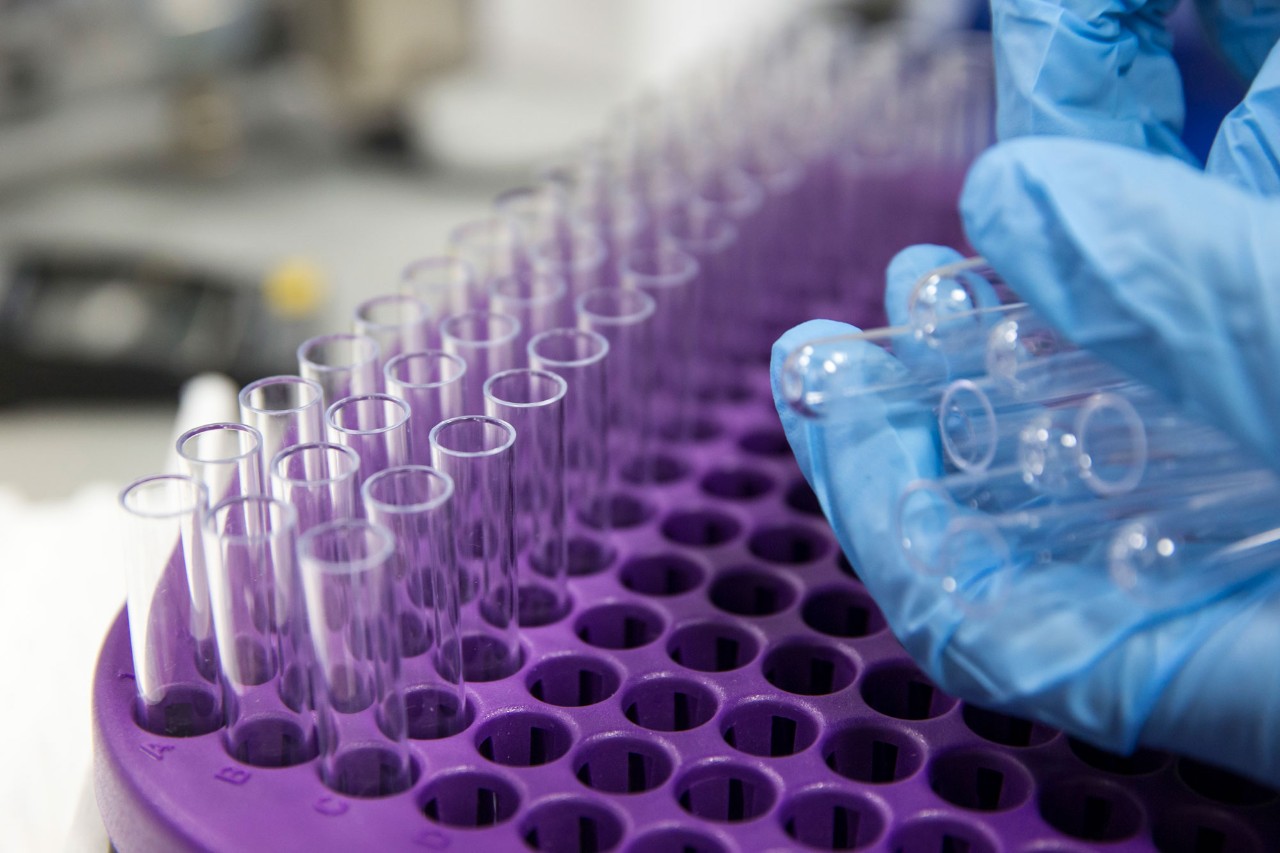 An Idea for the Future of Science