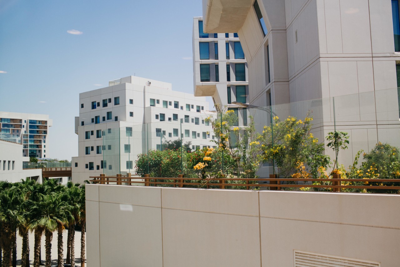 Graduate NYU Abu Dhabi