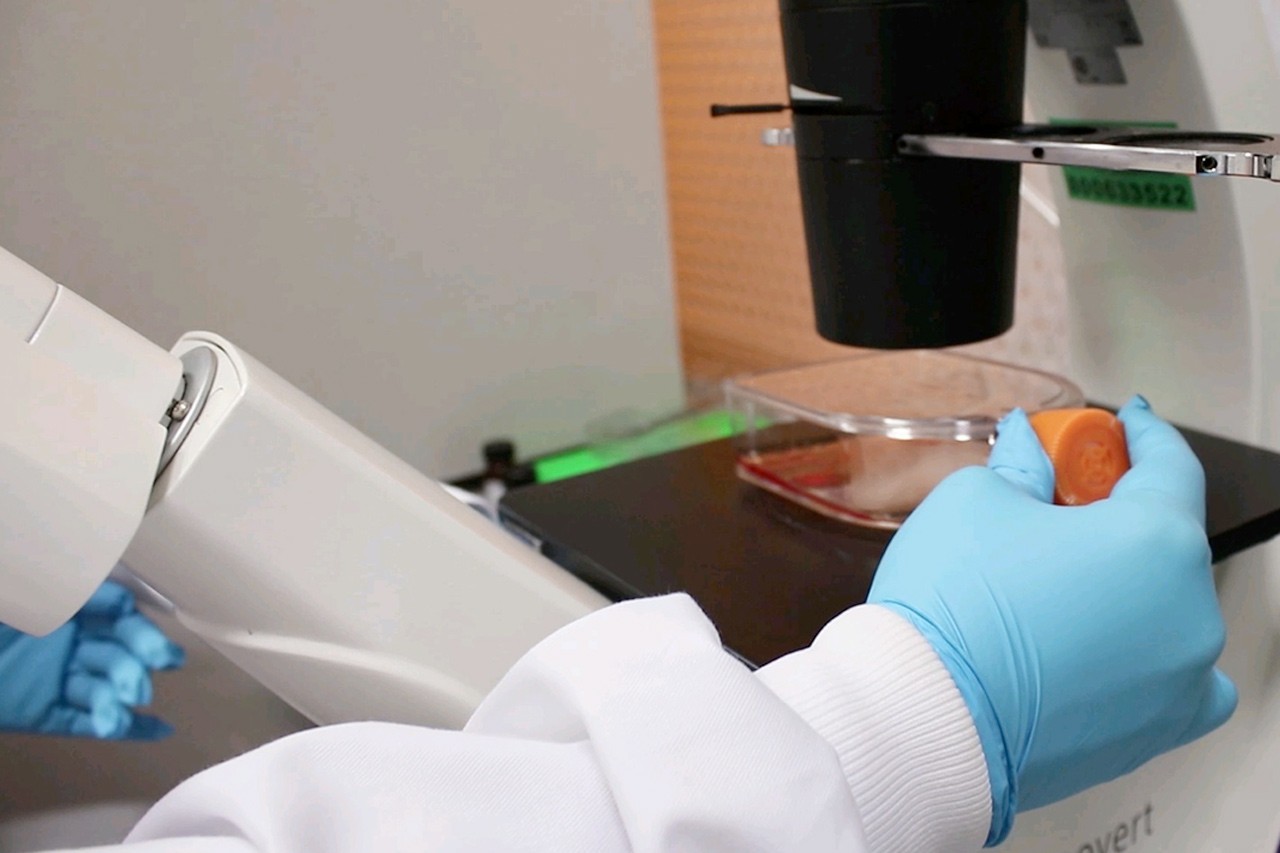 NYUAD Researchers Develop Groundbreaking Approach to More Efficiently