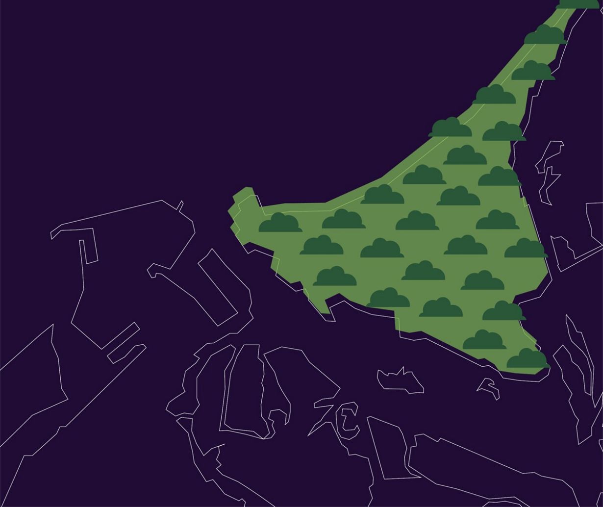NYUAD’s carbon neutrality goal by 2050 is roughly equivalent to planting almost 20,000 acres of mangroves, 3 times the acreage of Saadiyat island in Abu Dhabi. NYUAD’s carbon neutrality goal by 2050 is roughly equivalent to planting almost 20,000 acres of mangroves, 3 times the acreage of Saadiyat island in Abu Dhabi.