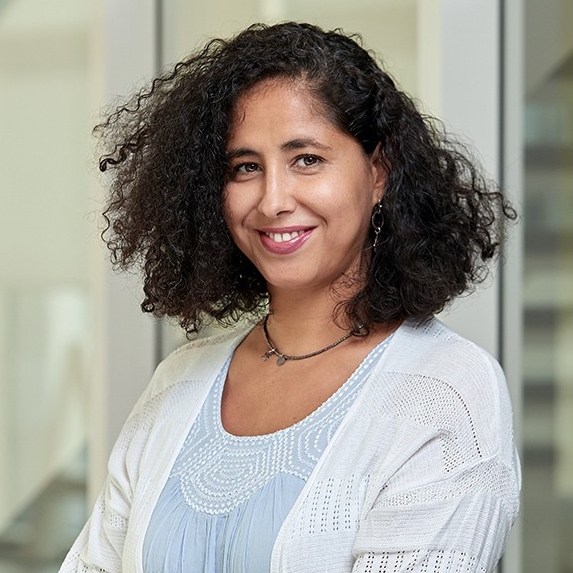 Laila Soliman, Visiting Associate Arts Professor of Theater, Artist in Residence