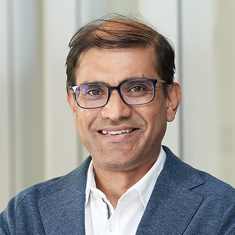 Sanjeev Goyal, Professor of Economics 