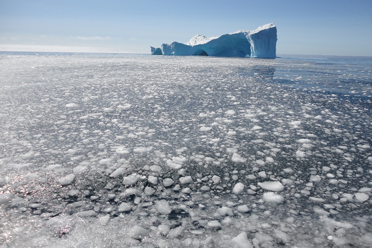 Understanding Oceanography on a Research Expedition to Greenland