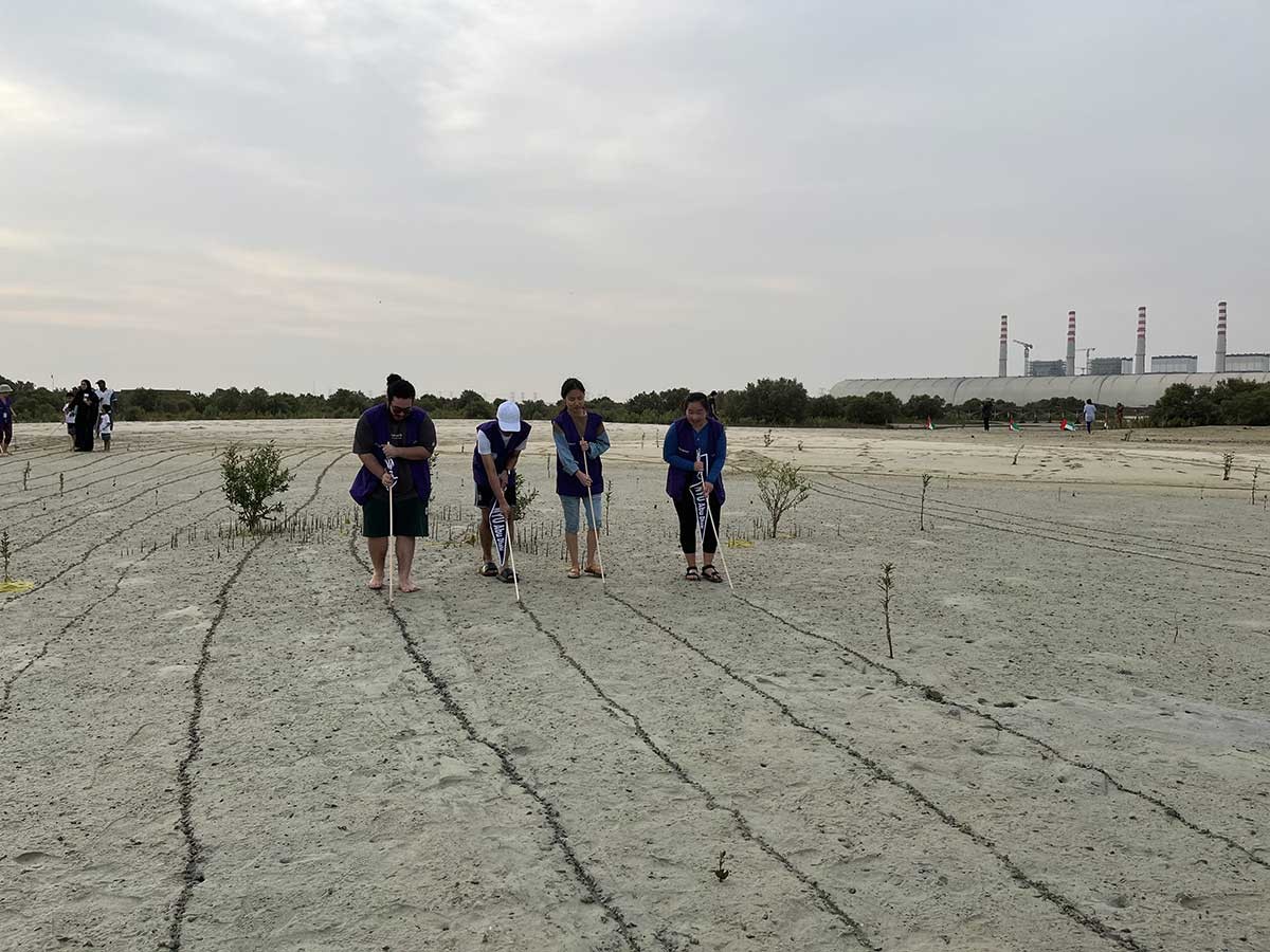 NYU Abu Dhabi community members gathered at one of the UAE’s unique ecosystems near Jebel Ali to plant 5,000 mangrove trees in under an hour. 