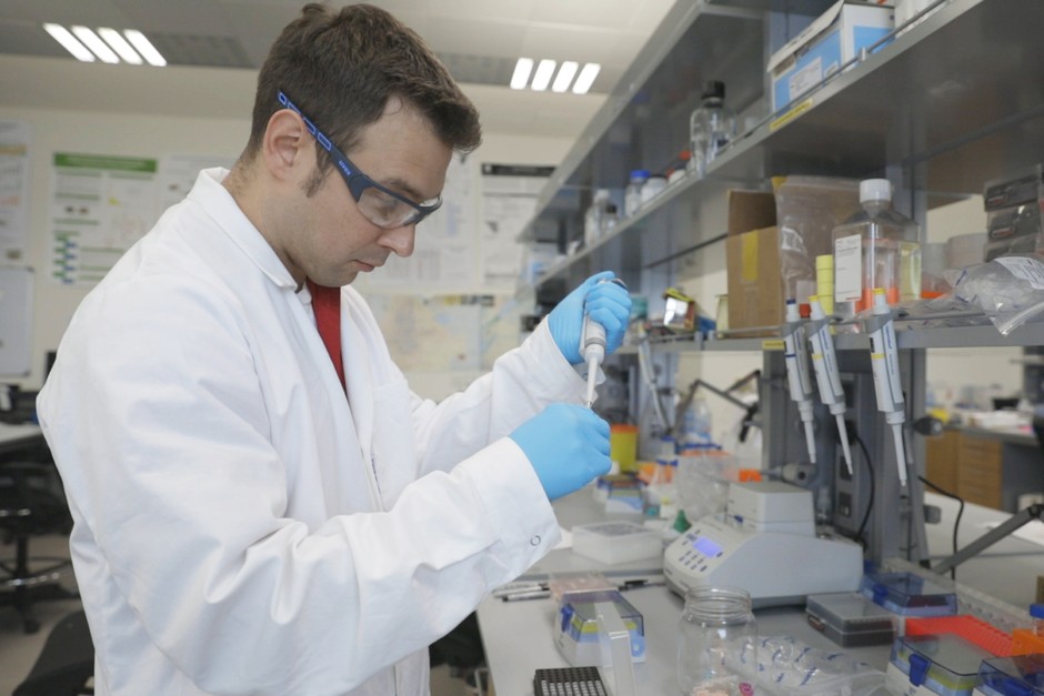 Justin Wilcox, postdoctoral associate, working in The Evolutionary Genomics Lab at NYU Abu Dhabi. 