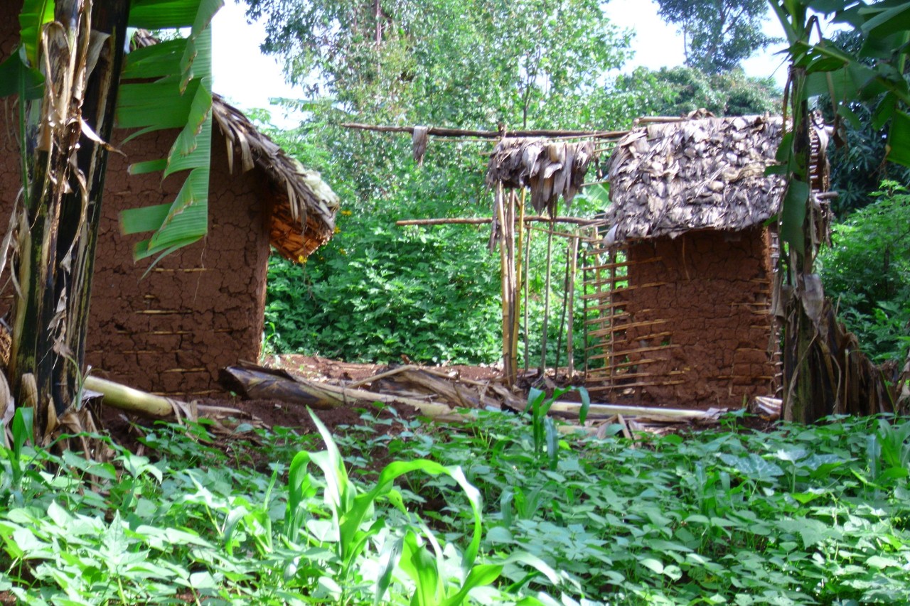 A house in the Democratic Republic of the Congo, the site of van der Windt's research study.