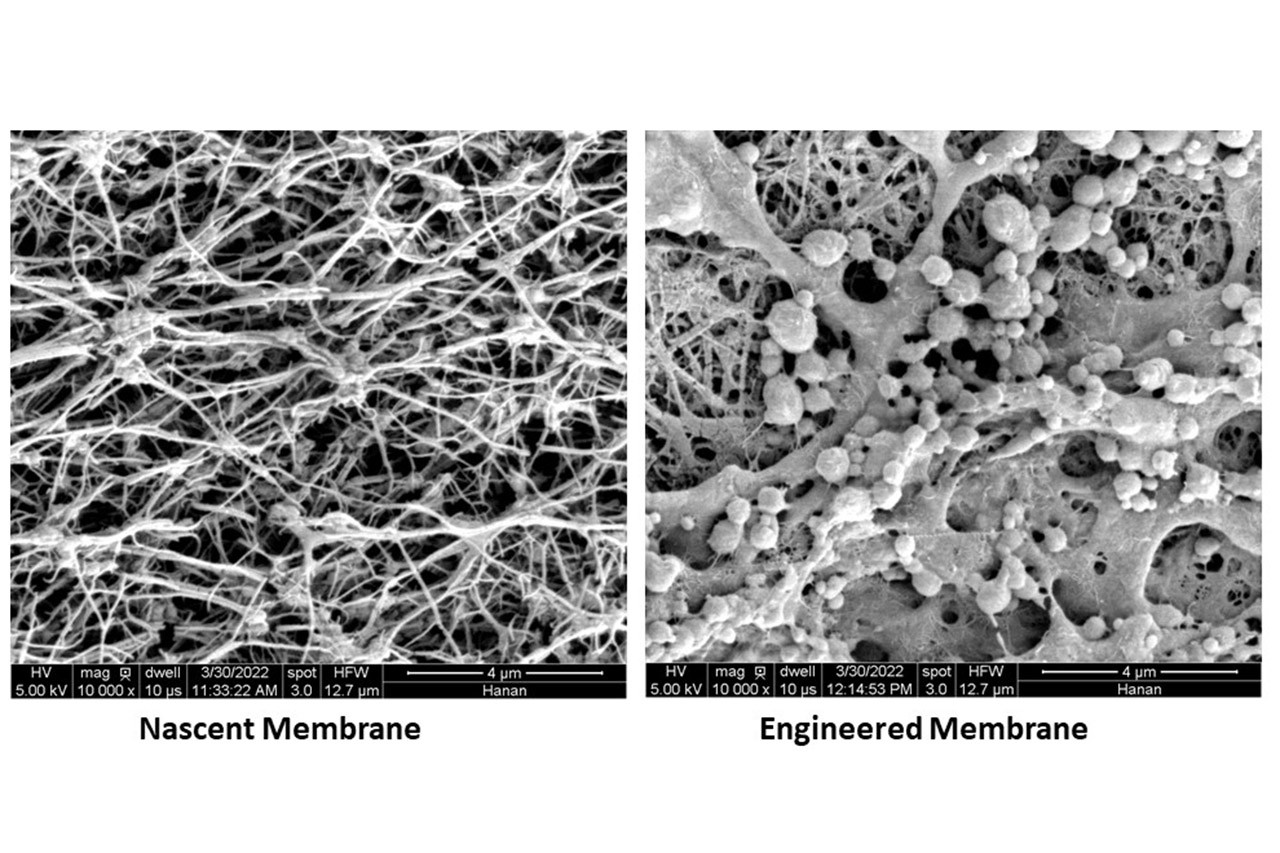 Nanostructured Membranes for Sustainable Desalination via Membrane Distillation